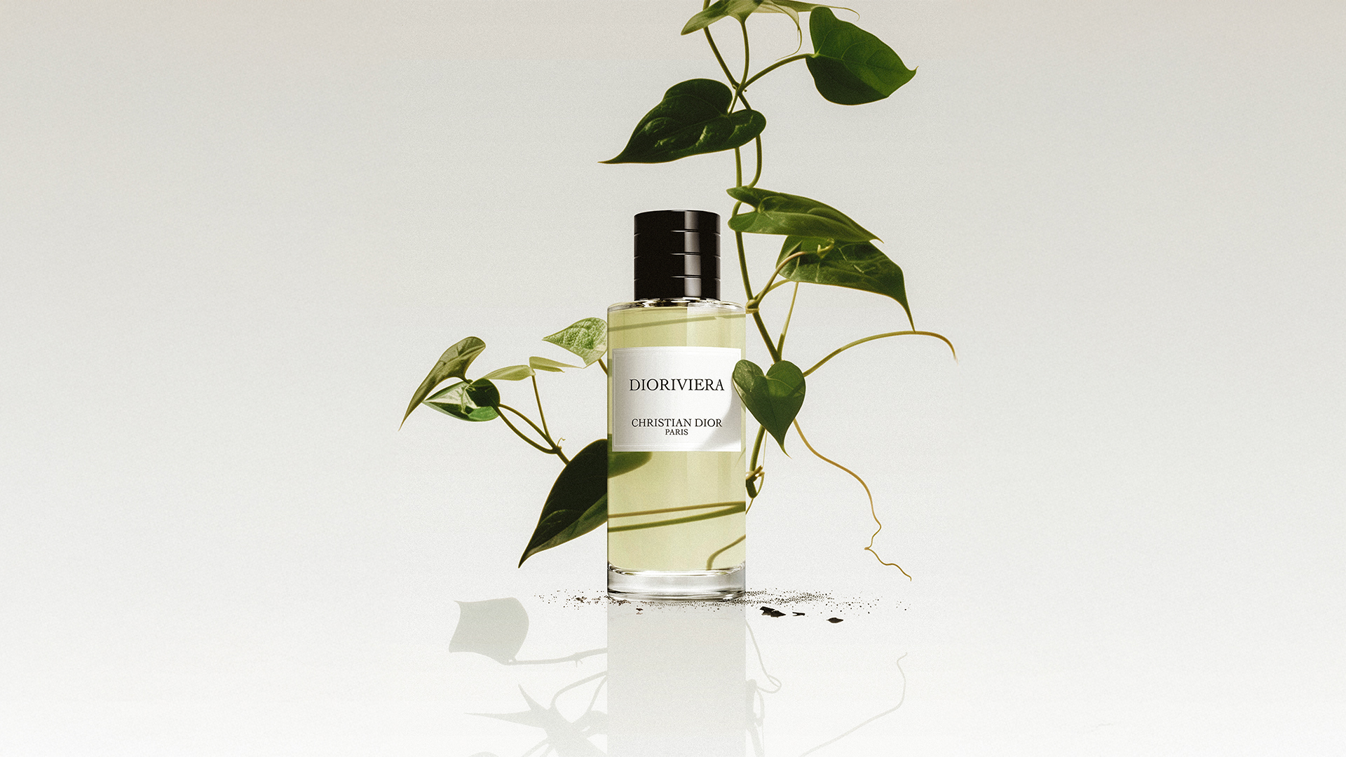  Cowboys agency Paris 